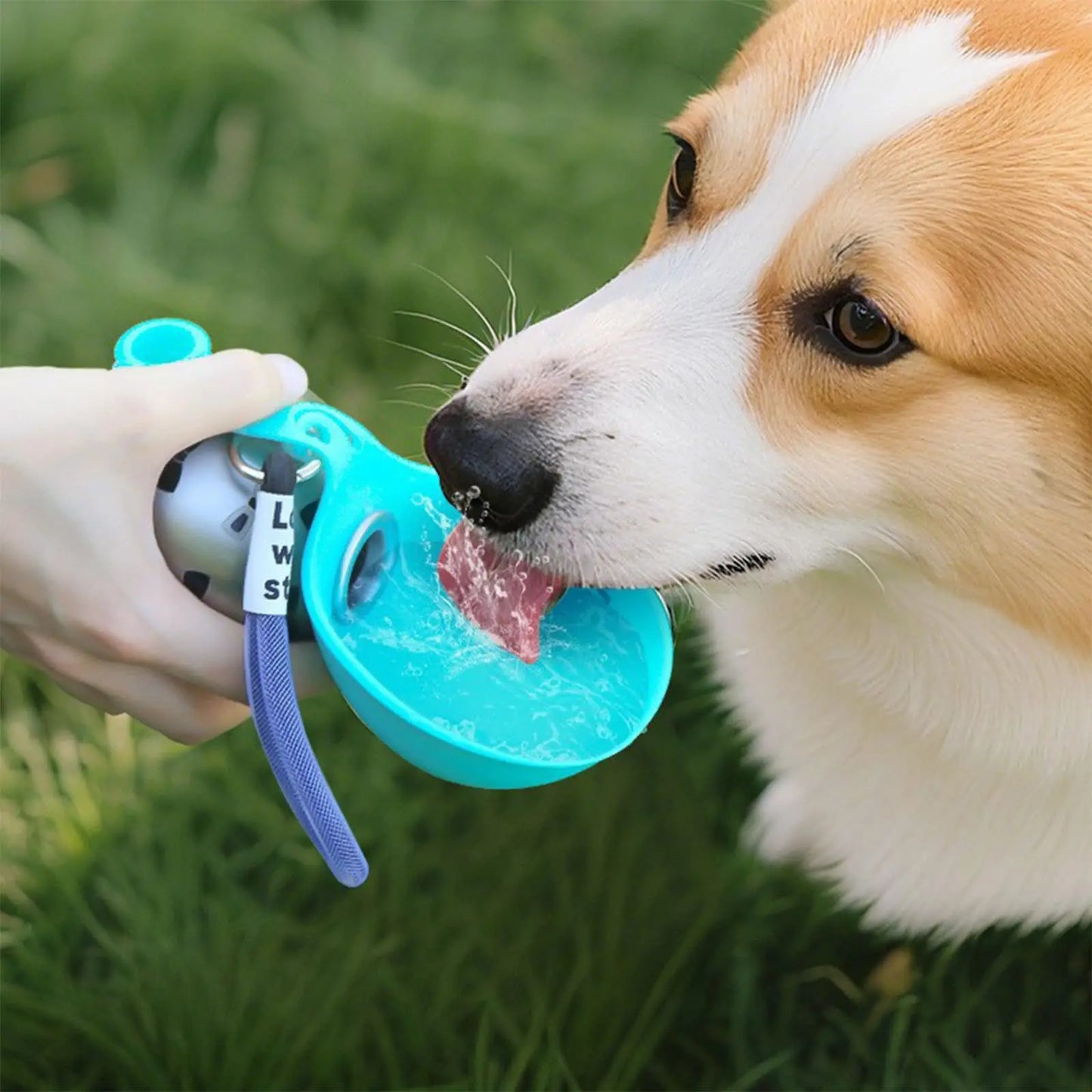 MyLuraa  2-in-1 Dog Water Bottle – No-Spill, One-Handed Dispensing for Walks & Hikes